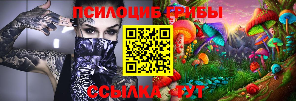 Благовещенск  Псилоцибиновые грибы мицелий  Вход с VPN  Галлюциногенные грибы Magic Shrooms 