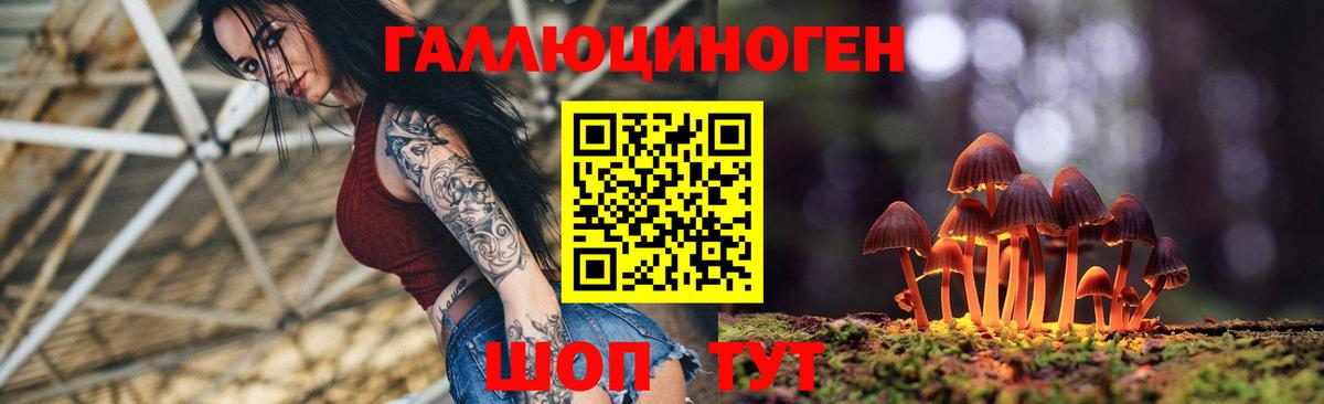 Галлюциногенные грибы прущие грибы Благовещенск